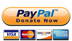 PayPal Donate Now